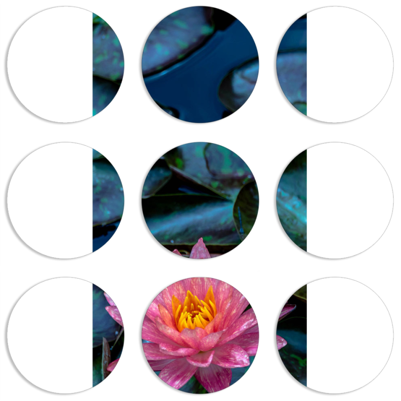 Магнитные фотопазлы круги d55 набор 9 штук 