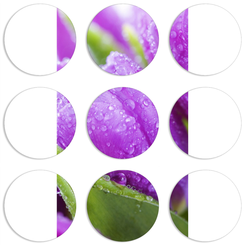 Магнитные фотопазлы круги d55 набор 9 штук 