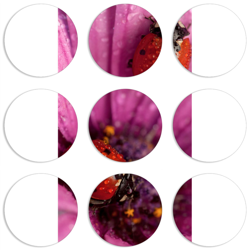 Магнитные фотопазлы круги d55 набор 9 штук 