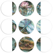 Магнитные фотопазлы круги d55 набор 9 штук 