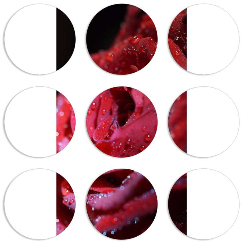 Магнитные фотопазлы круги d55 набор 9 штук 