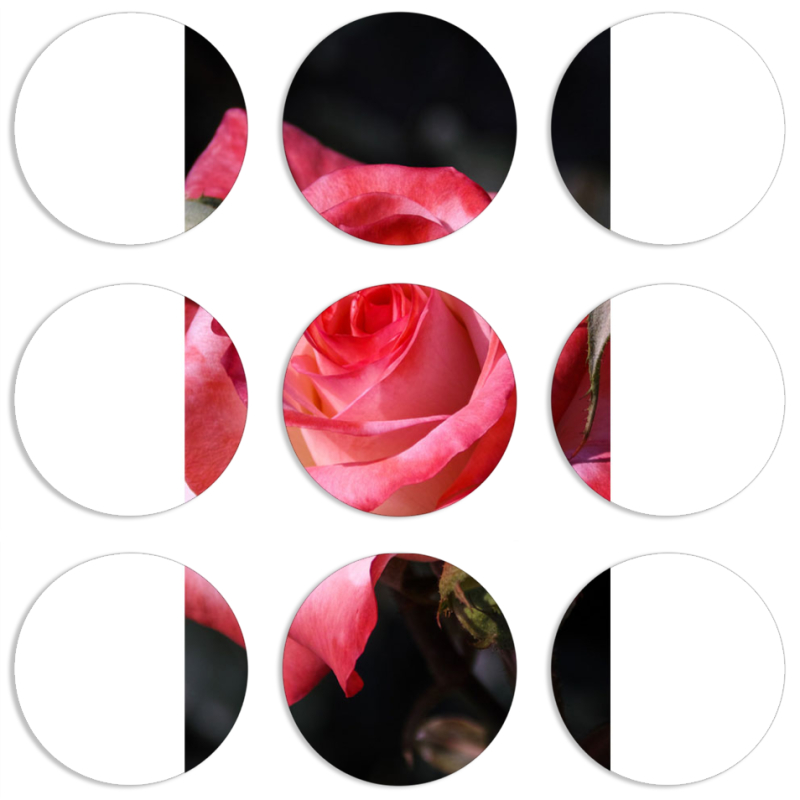 Магнитные фотопазлы круги d55 набор 9 штук 