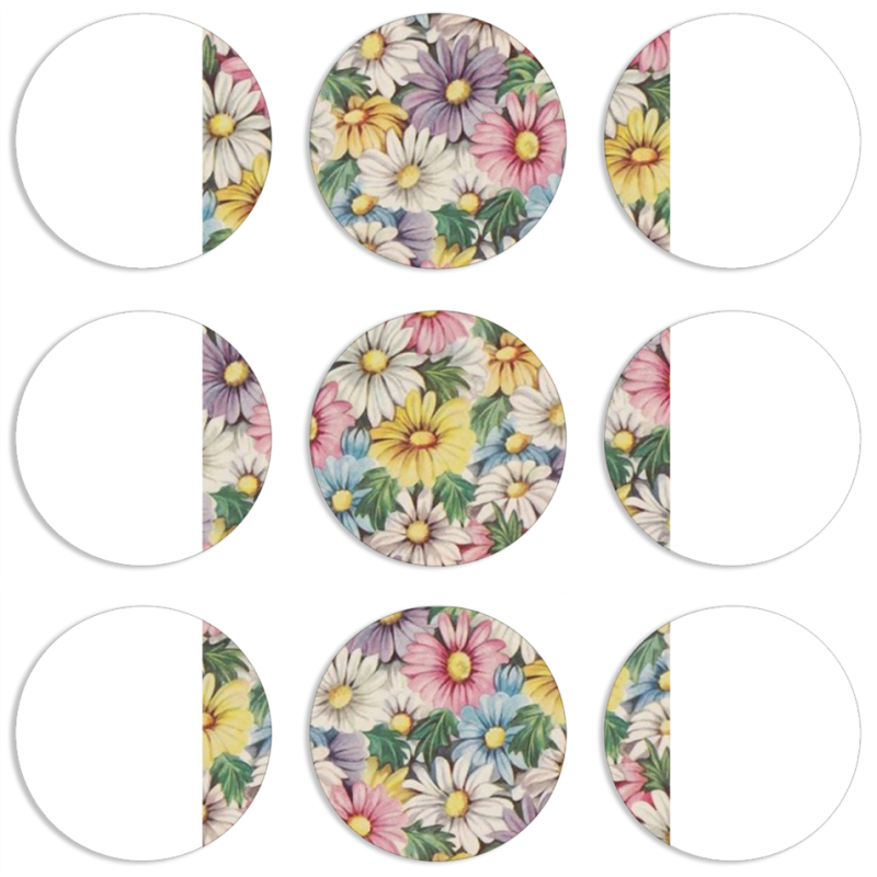 Магнитные фотопазлы круги d55 набор 9 штук 