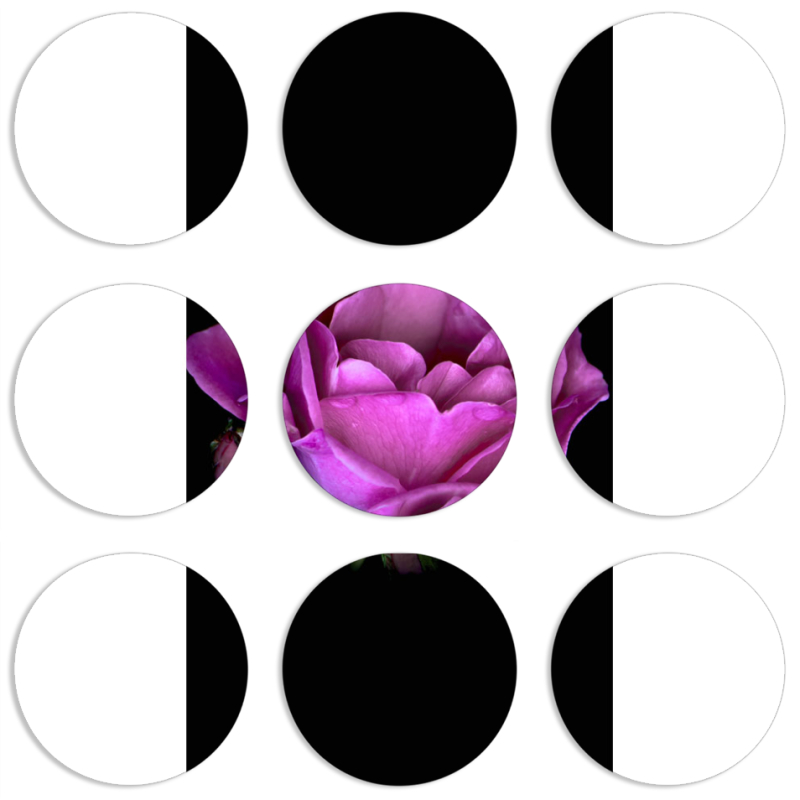 Магнитные фотопазлы круги d55 набор 9 штук 