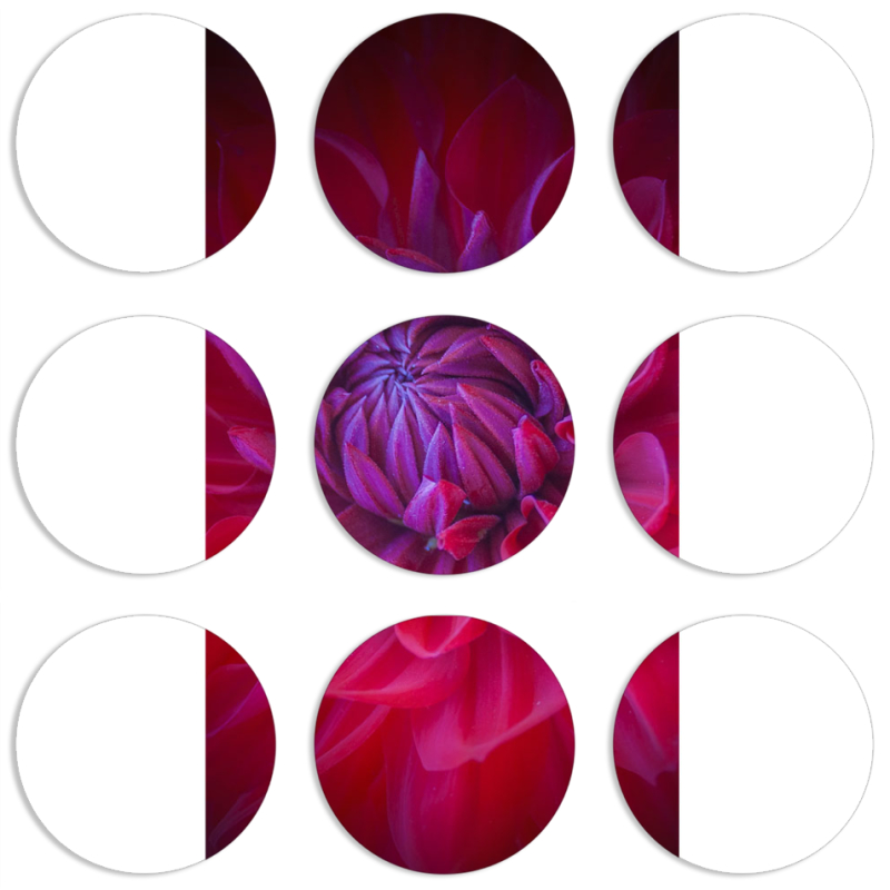 Магнитные фотопазлы круги d55 набор 9 штук 