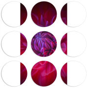 Магнитные фотопазлы круги d55 набор 9 штук 