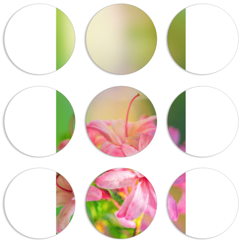 Магнитные фотопазлы круги d55 набор 9 штук 