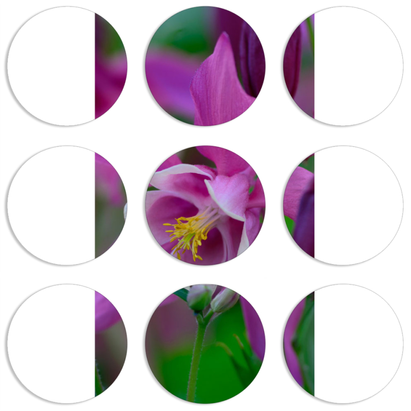 Магнитные фотопазлы круги d55 набор 9 штук 