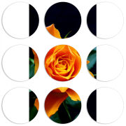 Магнитные фотопазлы круги d55 набор 9 штук 