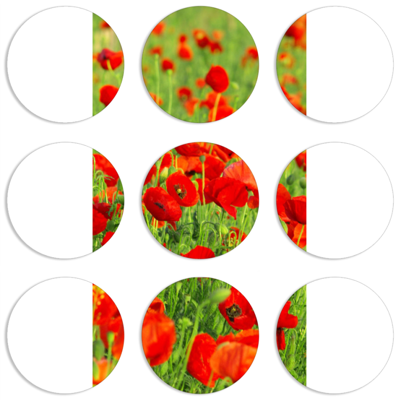 Магнитные фотопазлы круги d55 набор 9 штук 