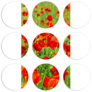 Магнитные фотопазлы круги d55 набор 9 штук 