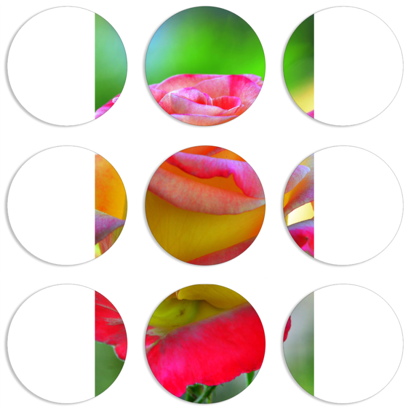 Магнитные фотопазлы круги d55 набор 9 штук 