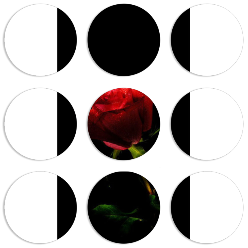 Магнитные фотопазлы круги d55 набор 9 штук 