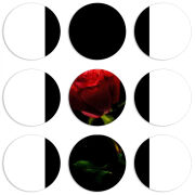 Магнитные фотопазлы круги d55 набор 9 штук 