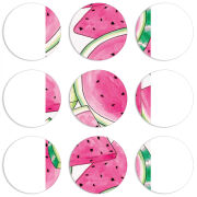 Магнитные фотопазлы круги d55 набор 9 штук 