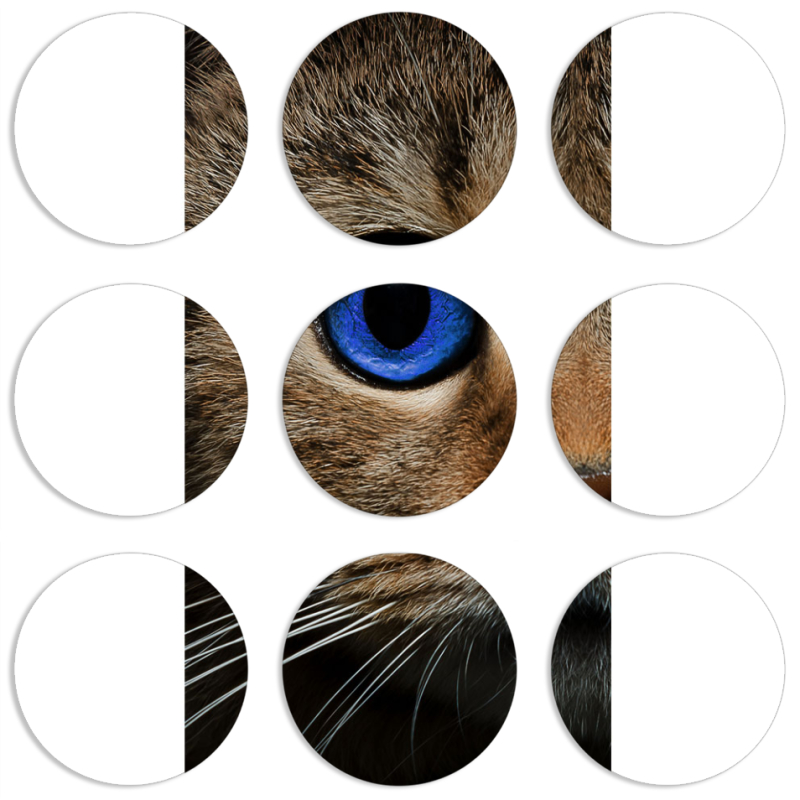 Магнитные фотопазлы круги d55 набор 9 штук Cat's Eye