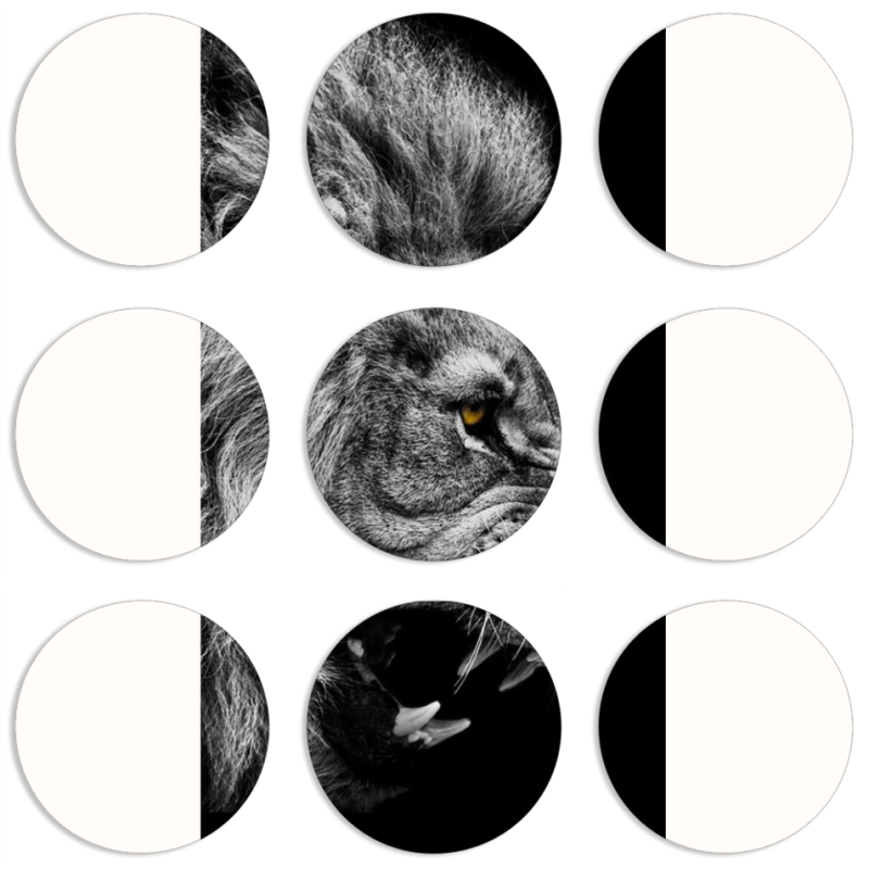 Магнитные фотопазлы круги d55 набор 9 штук 
