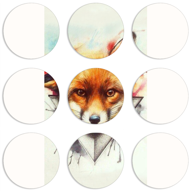 Магнитные фотопазлы круги d55 набор 9 штук 