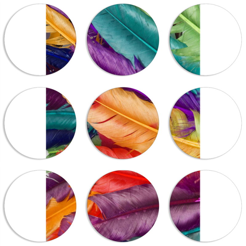 Магнитные фотопазлы круги d55 набор 9 штук Colour Joy