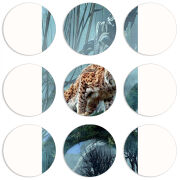 Магнитные фотопазлы круги d55 набор 9 штук 