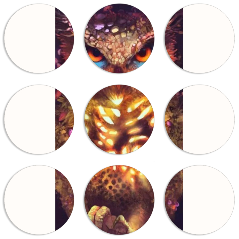 Магнитные фотопазлы круги d55 набор 9 штук 