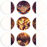 Магнитные фотопазлы круги d55 набор 9 штук 