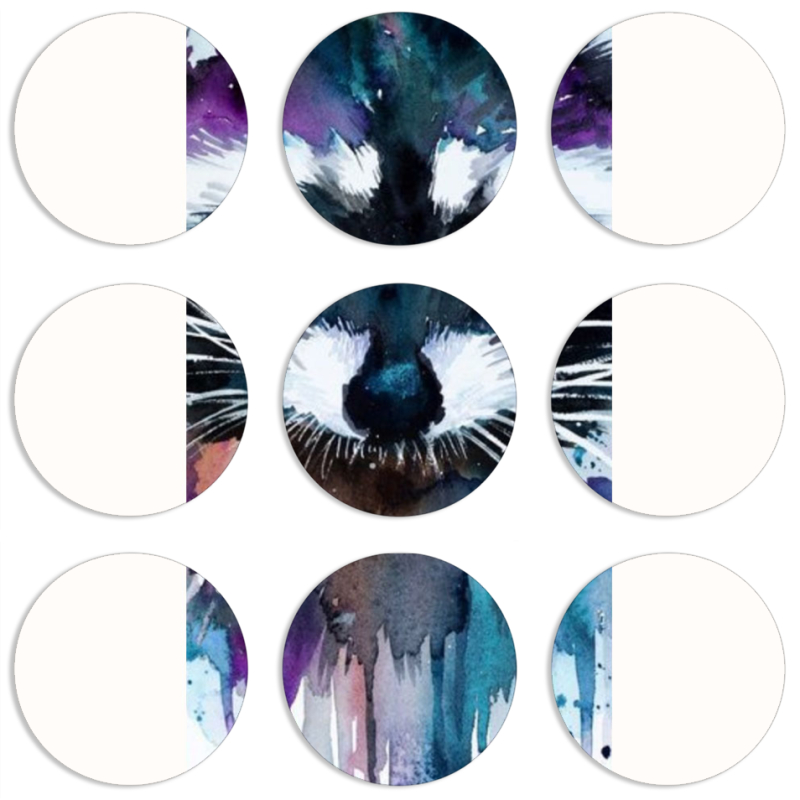 Магнитные фотопазлы круги d55 набор 9 штук Акварельный енот