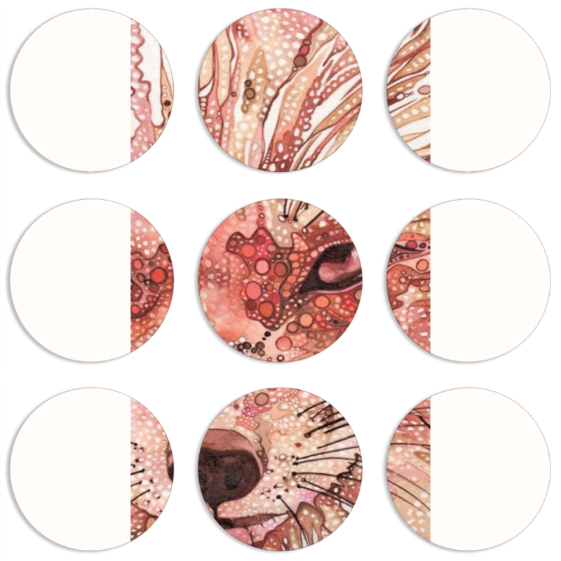 Магнитные фотопазлы круги d55 набор 9 штук 