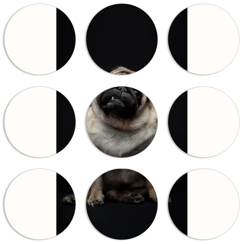 Магнитные фотопазлы круги d55 набор 9 штук 