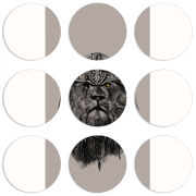 Магнитные фотопазлы круги d55 набор 9 штук 