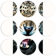 Магнитные фотопазлы круги d55 набор 9 штук 