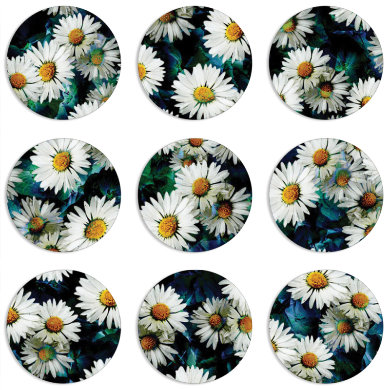 Магнитные фотопазлы круги d55 набор 9 штук 