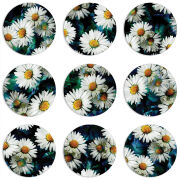 Магнитные фотопазлы круги d55 набор 9 штук 