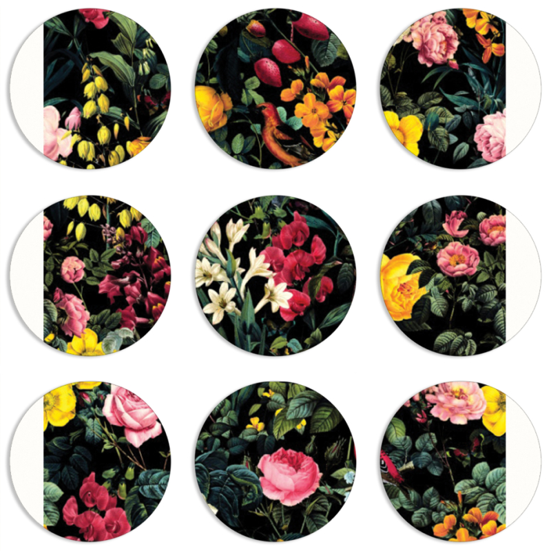 Магнитные фотопазлы круги d55 набор 9 штук 