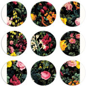 Магнитные фотопазлы круги d55 набор 9 штук 