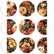 Магнитные фотопазлы круги d55 набор 9 штук 