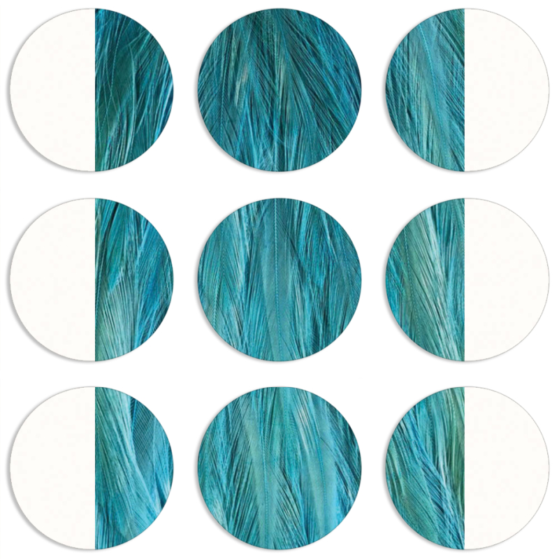 Магнитные фотопазлы круги d55 набор 9 штук 