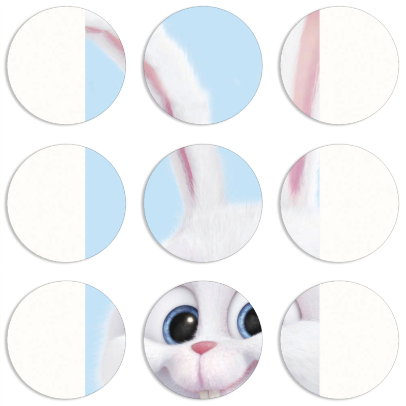 Магнитные фотопазлы круги d55 набор 9 штук Rabbit
