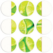 Магнитные фотопазлы круги d55 набор 9 штук 