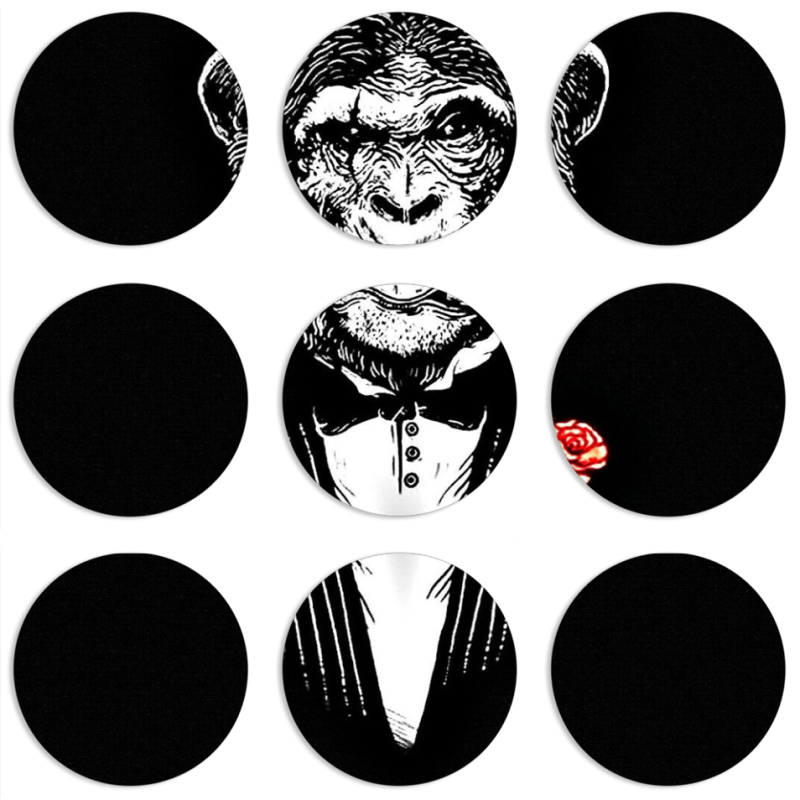 Магнитные фотопазлы круги d55 набор 9 штук Monkey Don