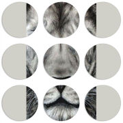 Магнитные фотопазлы круги d55 набор 9 штук 