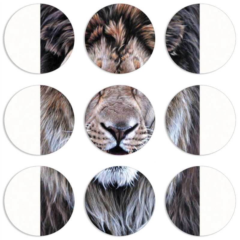 Магнитные фотопазлы круги d55 набор 9 штук 