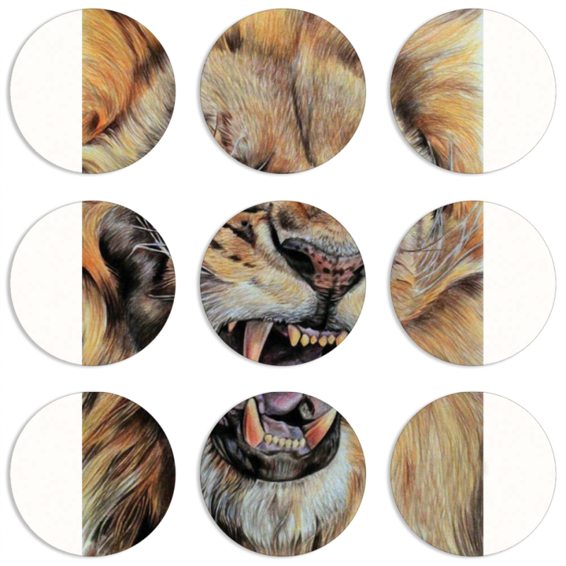 Магнитные фотопазлы круги d55 набор 9 штук 