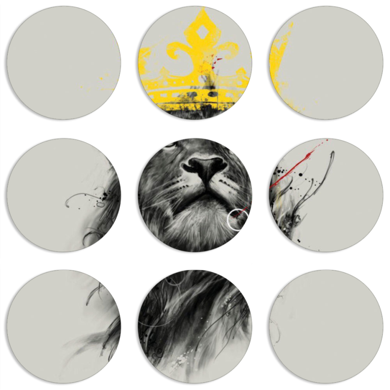 Магнитные фотопазлы круги d55 набор 9 штук 