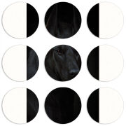 Магнитные фотопазлы круги d55 набор 9 штук 