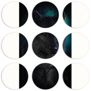 Магнитные фотопазлы круги d55 набор 9 штук 