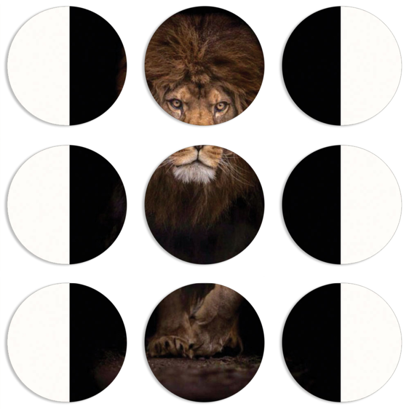 Магнитные фотопазлы круги d55 набор 9 штук 