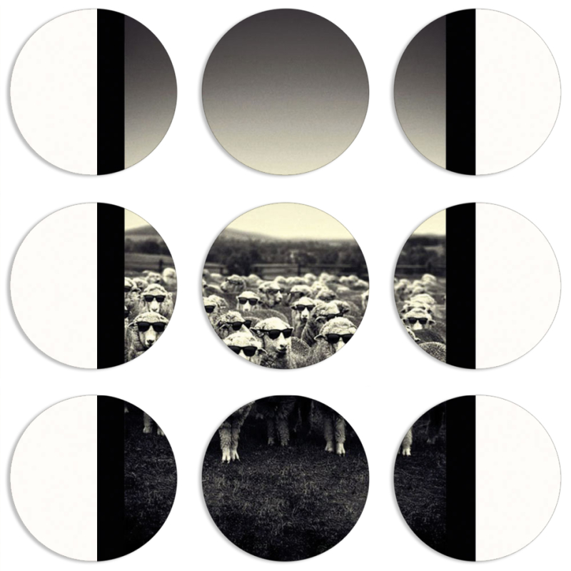 Магнитные фотопазлы круги d55 набор 9 штук 