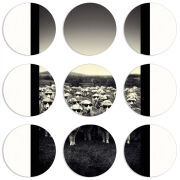 Магнитные фотопазлы круги d55 набор 9 штук 