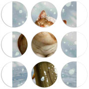 Магнитные фотопазлы круги d55 набор 9 штук 